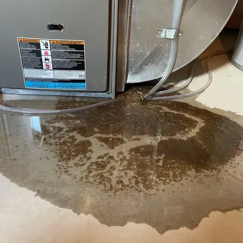 Appliance Leak Cleanup in Tequesta, FL